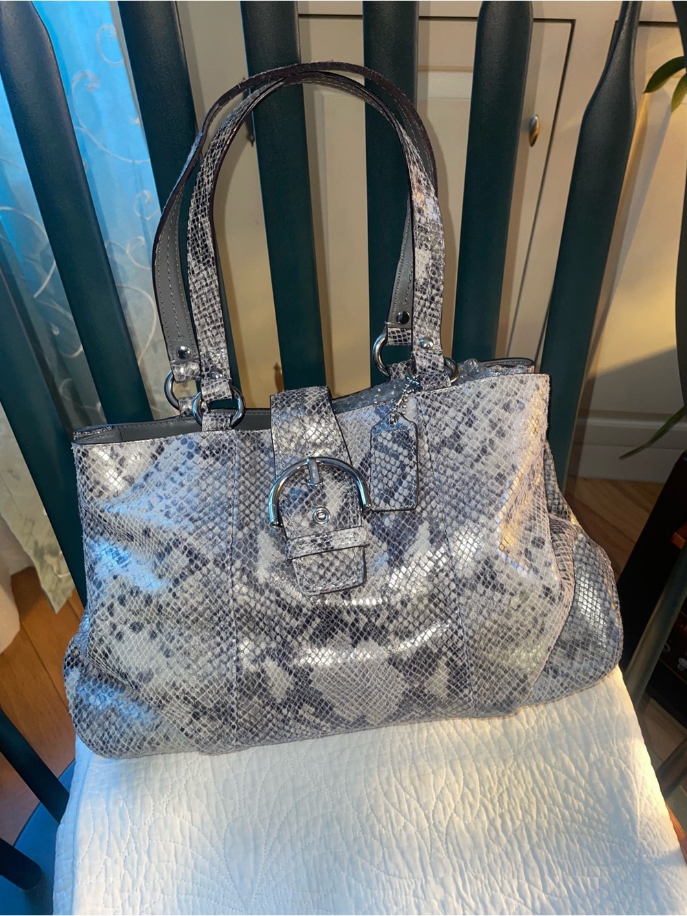 Women’s Snake-Print Tote Bag in Gray and Black